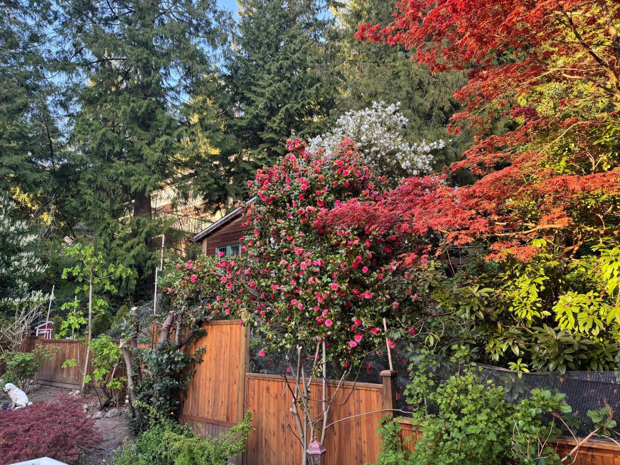 Beautiful Modern Suite North Vancouver Exteriör bild
